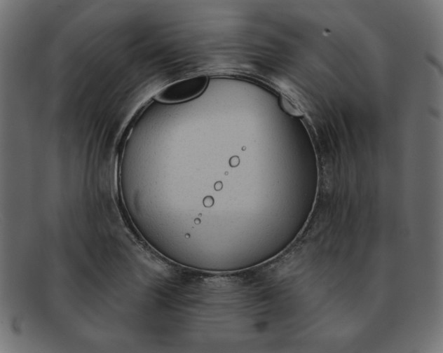 X0000091851227200709191049