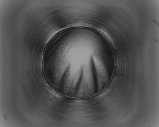 X0000091851228200709191049