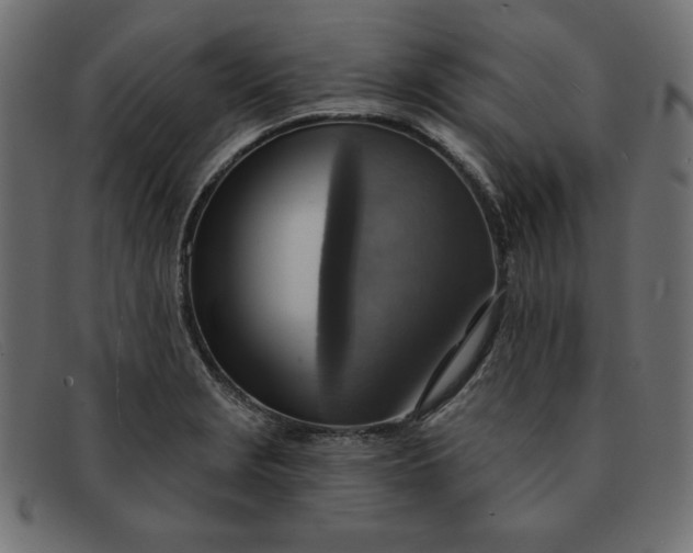 X0000091851229200709191049
