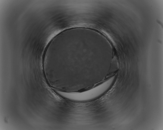 X0000091851230200709191049