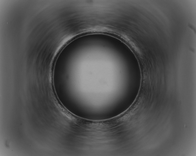 X0000091851232200709191049