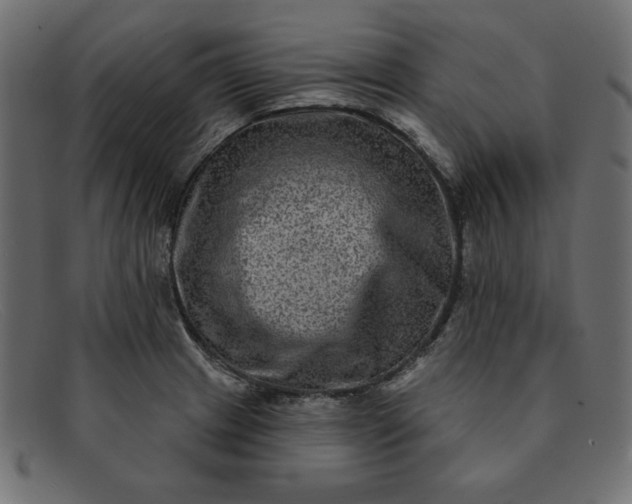X0000091851233200709191049