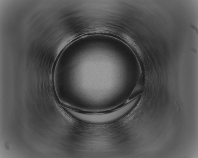 X0000091851234200709191049