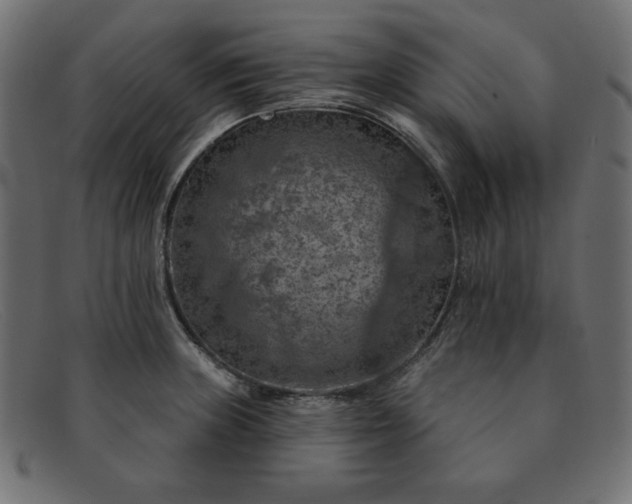 X0000091851235200709191049