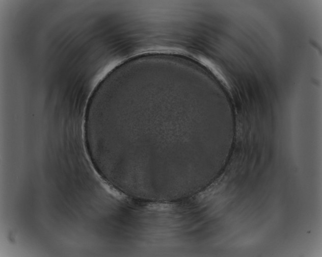 X0000091851237200709191049