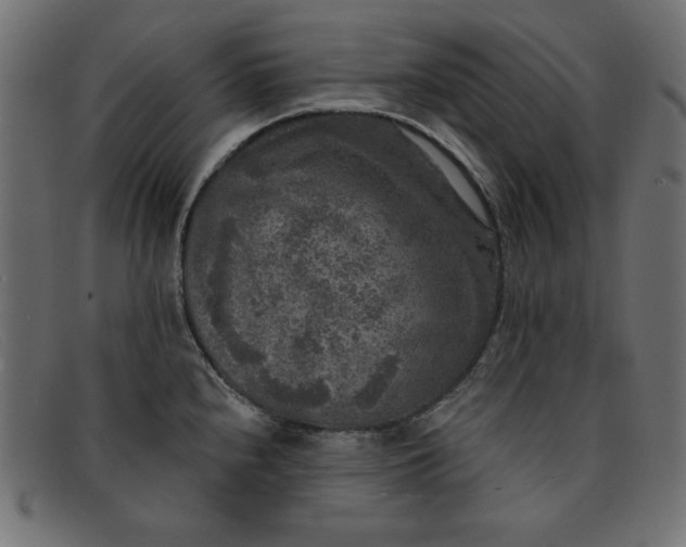 X0000091851240200709191050