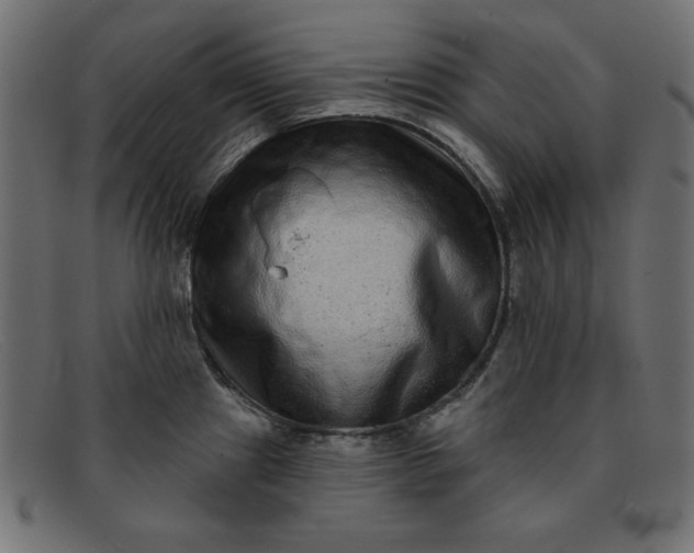 X0000091851241200709191050