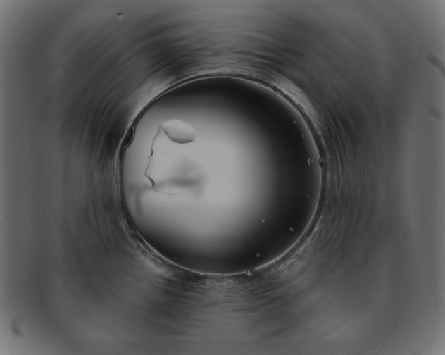 X0000091851242200709191050