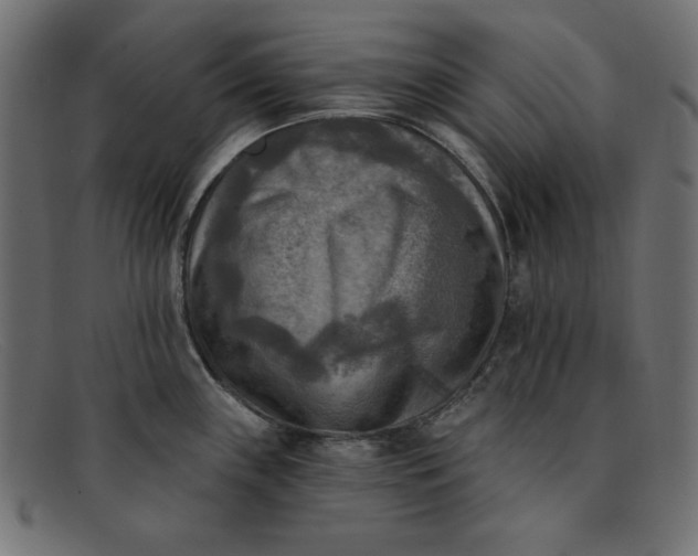 X0000091851243200709191050