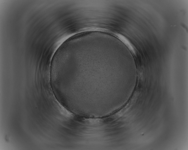 X0000091851244200709191050