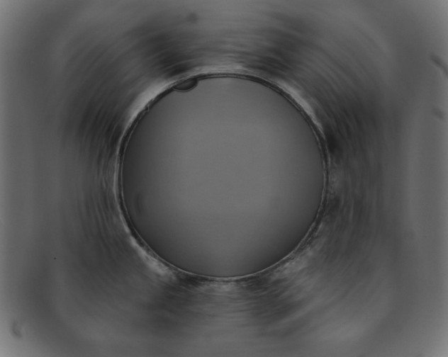 X0000091851245200709191050