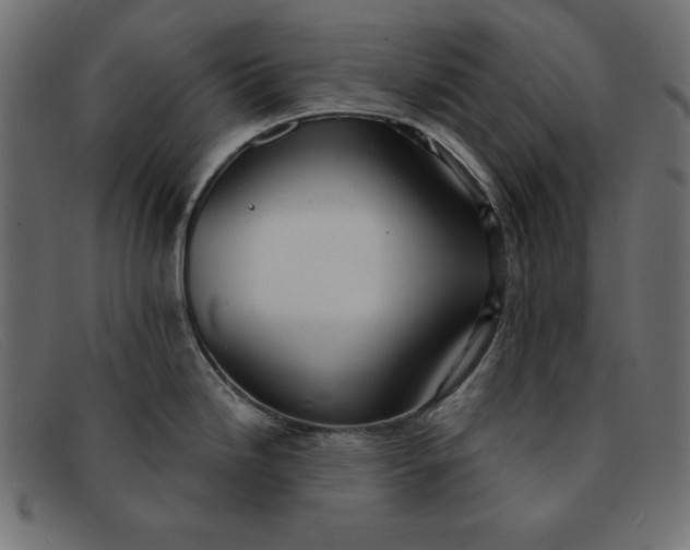 X0000091851246200709191050