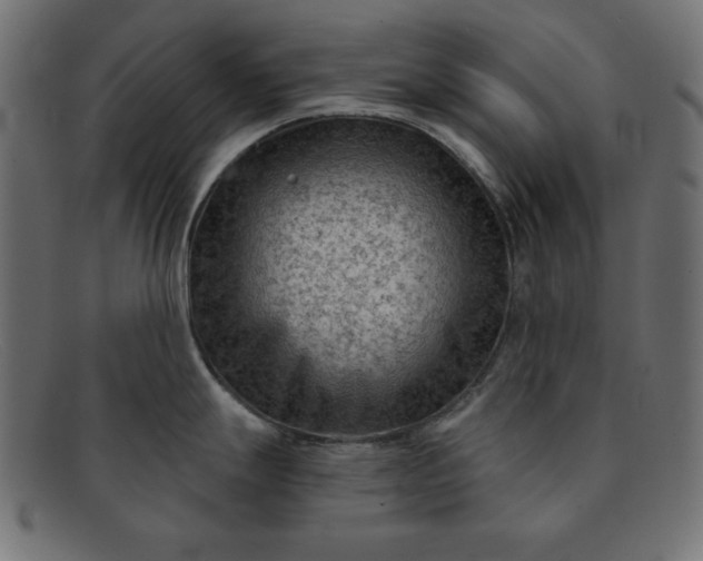 X0000091851247200709191050