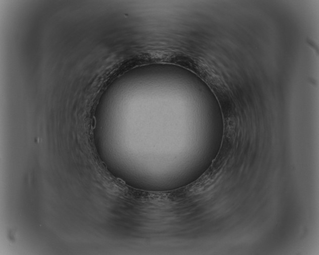 X0000091851249200709191049