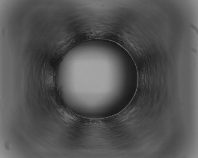 X0000091851250200709191049