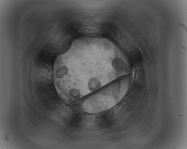 X0000091851251200709191049
