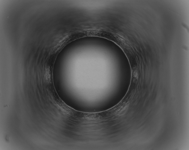 X0000091851252200709191049