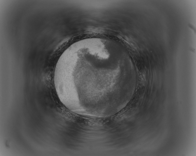 X0000091851254200709191049