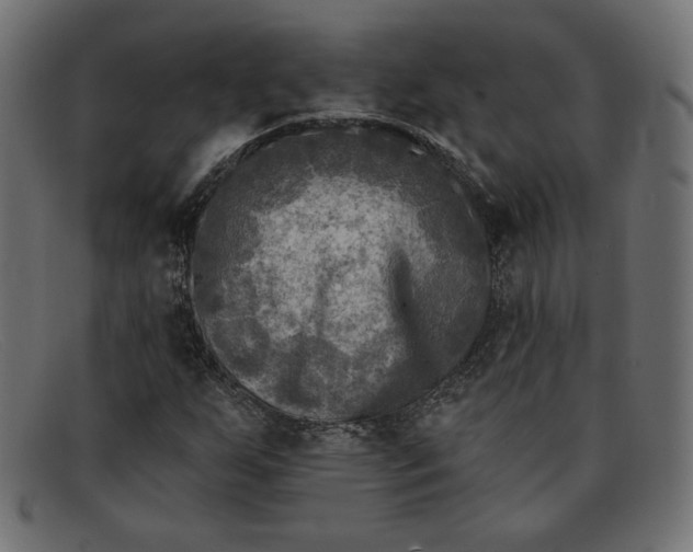 X0000091851255200709191049