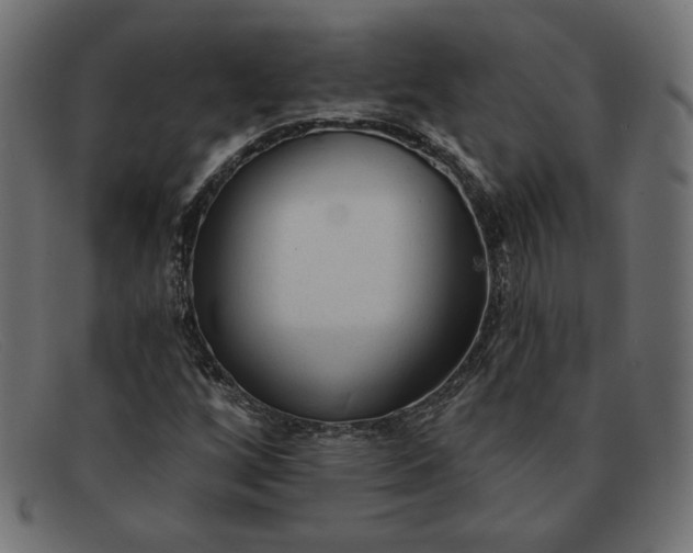 X0000091851256200709191049