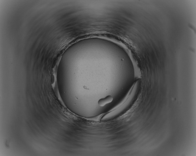 X0000091851257200709191049