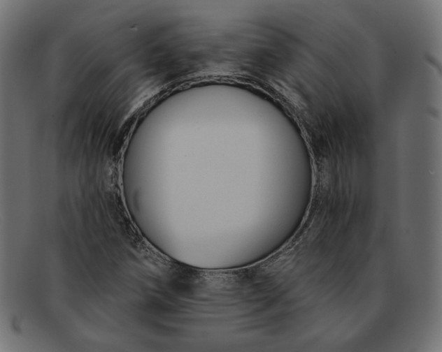 X0000091851258200709191049