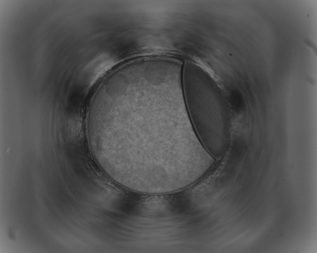 X0000091851259200709191049