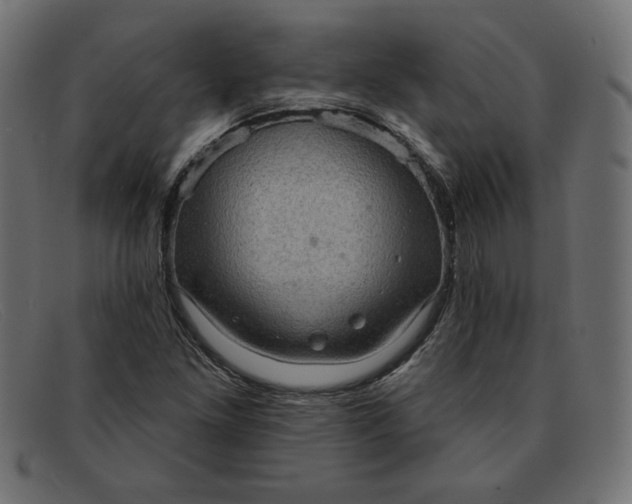 X0000091851261200709191049