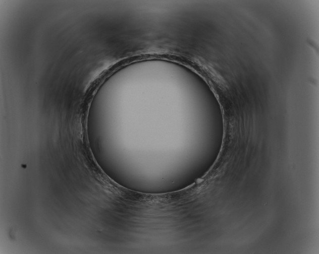 X0000091851262200709191049