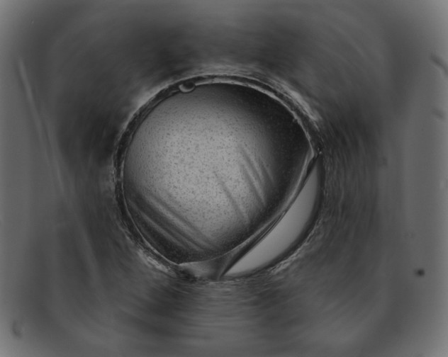 X0000091851264200709191049