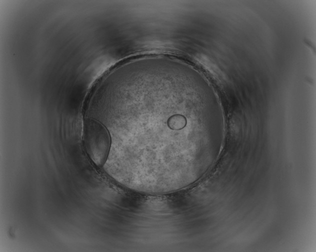 X0000091851267200709191049