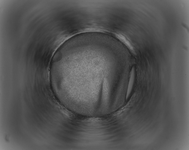 X0000091851268200709191049