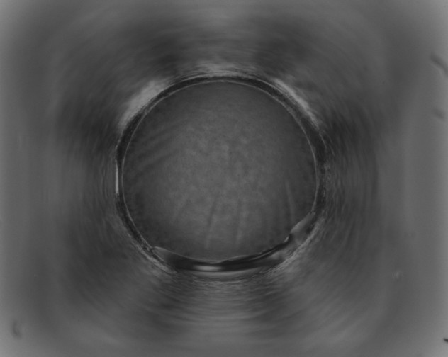 X0000091851269200709191049