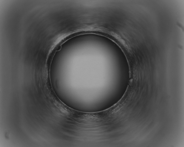 X0000091851270200709191049