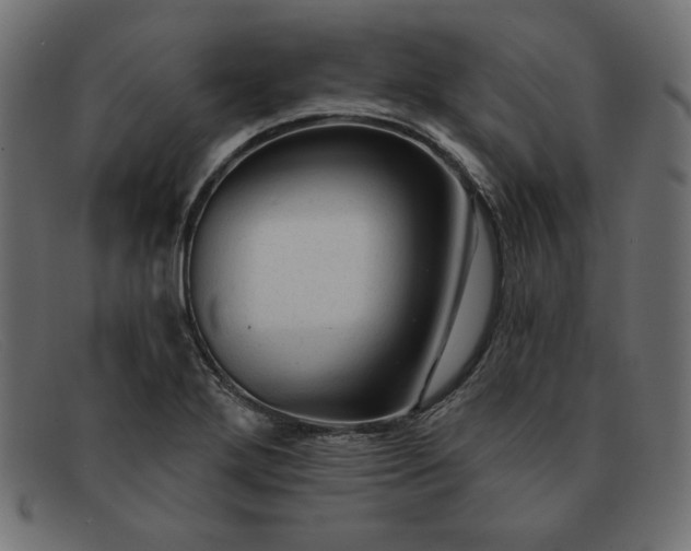 X0000091851272200709191049