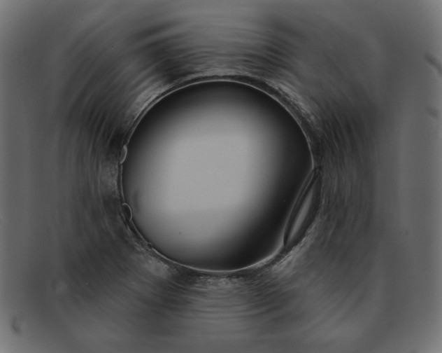 X0000091851273200709191049