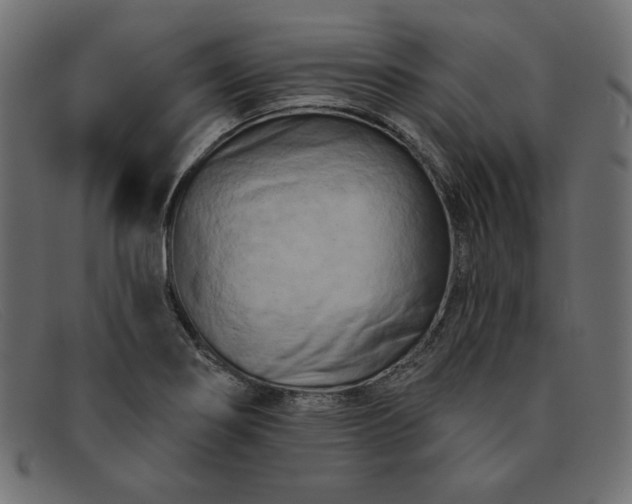 X0000091851274200709191049