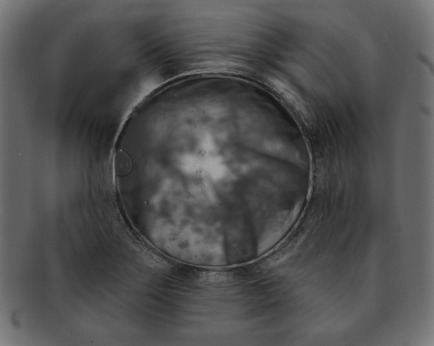 X0000091851275200709191049
