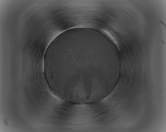 X0000091851276200709191049