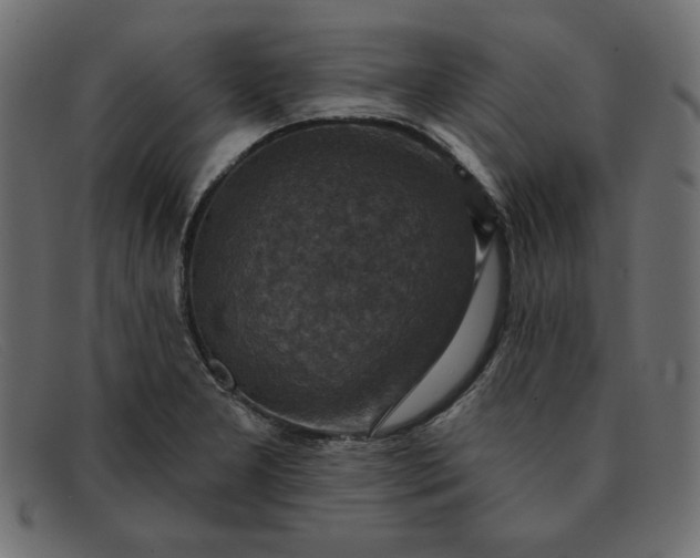 X0000091851277200709191049