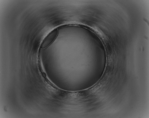 X0000091851279200709191049