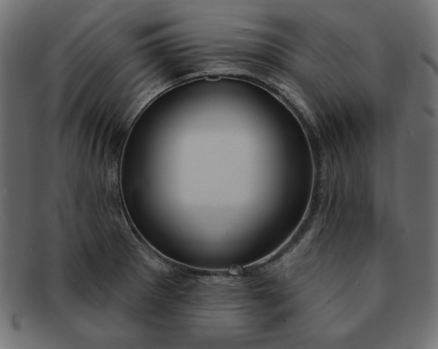 X0000091851281200709191048