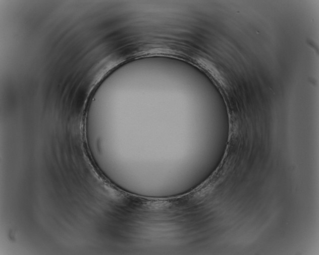 X0000091851282200709191048