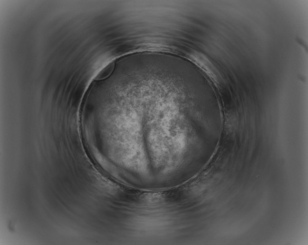 X0000091851283200709191048