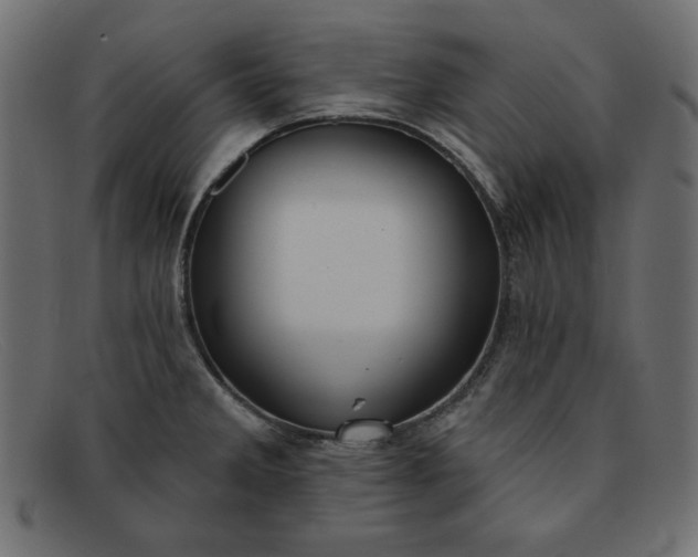 X0000091851285200709191048