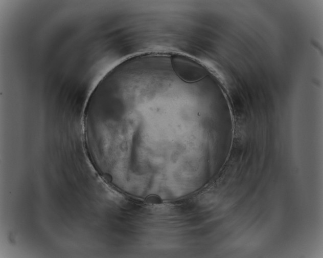 X0000091851287200709191048