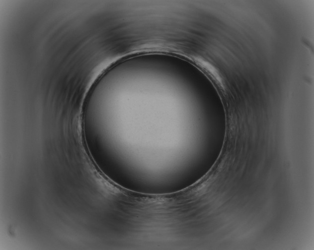 X0000091851288200709191048
