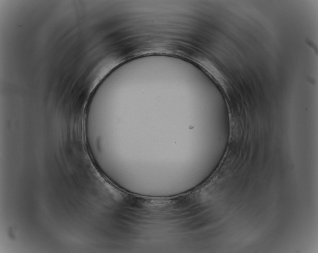 X0000091851290200709191048