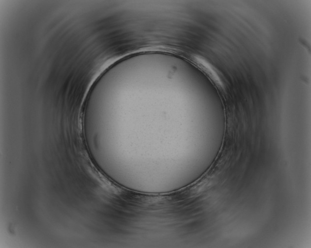 X0000091851292200709191048