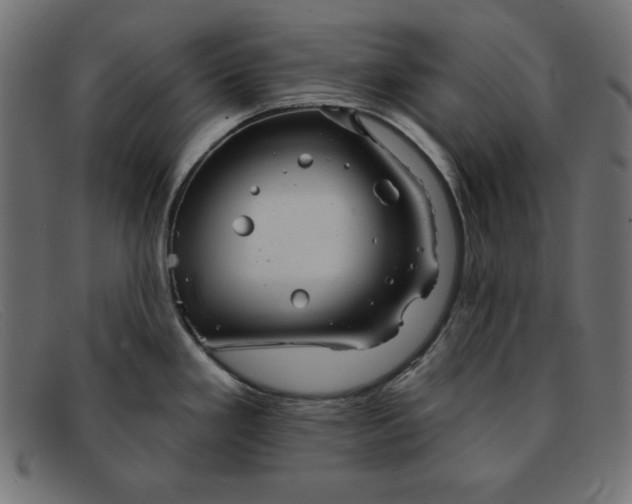 X0000091851293200709191048